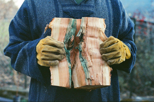 Man Wearing Leather Gloves Holding a Piece of Wood
